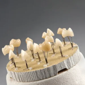 Zubler Firing Furnace 230Zr